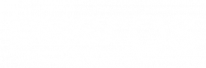peeros_logo